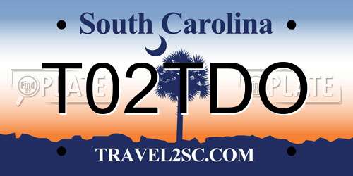 T02TDO South Carolina License Plate