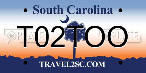 T02TOO South Carolina License Plate