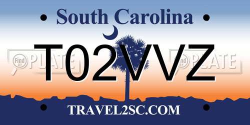 T02VVZ South Carolina License Plate