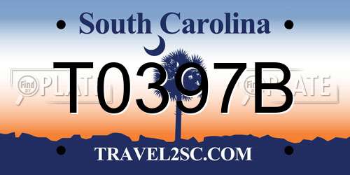 T0397B South Carolina License Plate