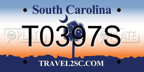 T0397S South Carolina License Plate