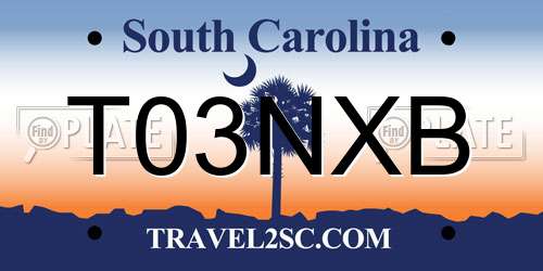 T03NXB South Carolina License Plate