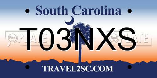 T03NXS South Carolina License Plate