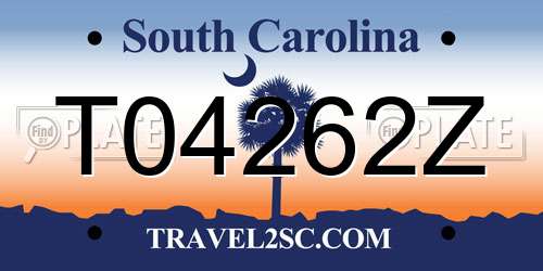 T04262Z South Carolina License Plate