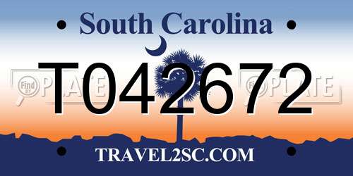 T042672 South Carolina License Plate