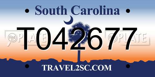 T042677 South Carolina License Plate