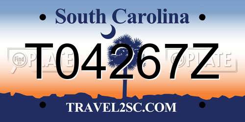 T04267Z South Carolina License Plate