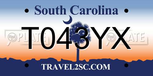 T043YX South Carolina License Plate