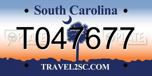 T047677 South Carolina License Plate