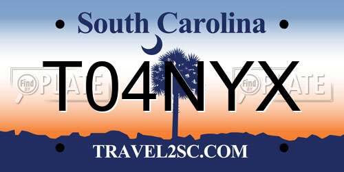 T04NYX South Carolina License Plate