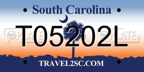 T05202L South Carolina License Plate