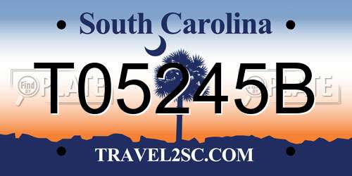 T05245B South Carolina License Plate