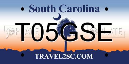 T05GSE South Carolina License Plate