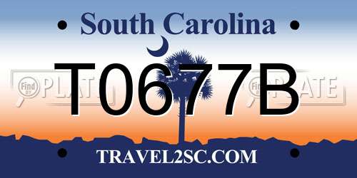 T0677B South Carolina License Plate