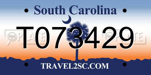 T073429 South Carolina License Plate