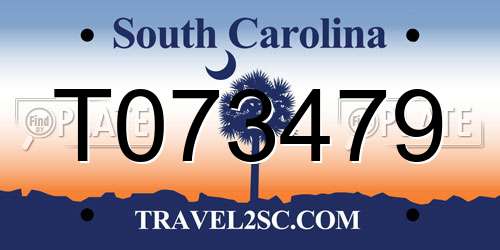 T073479 South Carolina License Plate
