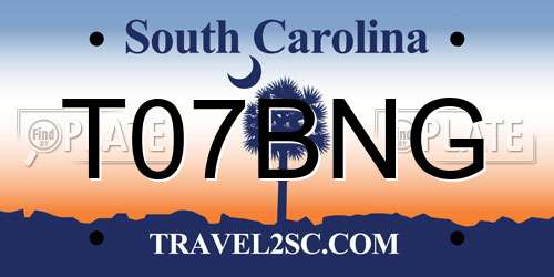 T07BNG South Carolina License Plate