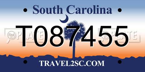 T087455 South Carolina License Plate
