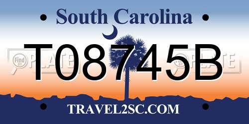 T08745B South Carolina License Plate