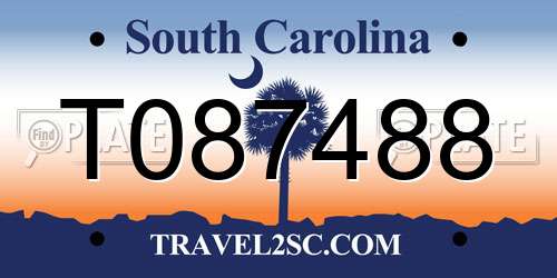T087488 South Carolina License Plate
