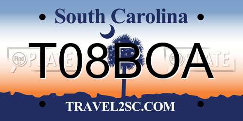 T08BOA South Carolina License Plate