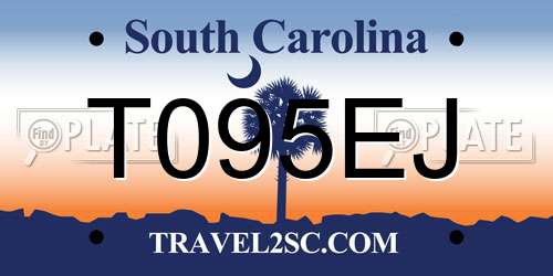 T095EJ South Carolina License Plate