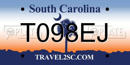 T098EJ South Carolina License Plate