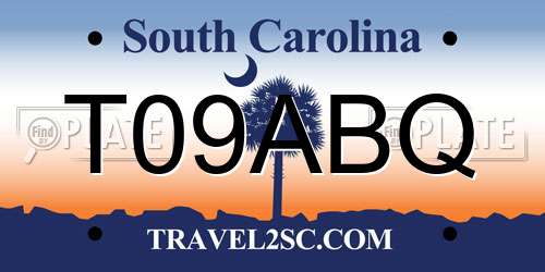 T09ABQ South Carolina License Plate