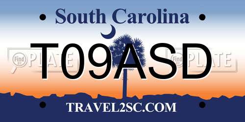 T09ASD South Carolina License Plate
