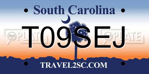 T09SEJ South Carolina License Plate