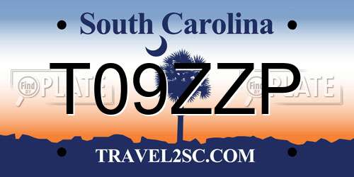 T09ZZP South Carolina License Plate