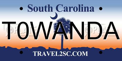 T0WANDA South Carolina License Plate