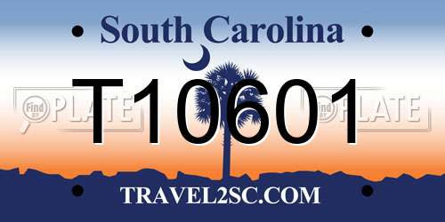 T10601 South Carolina License Plate