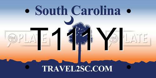 T111YI South Carolina License Plate