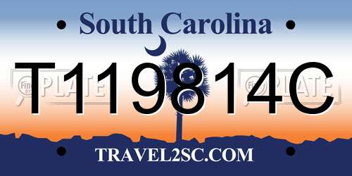 T119814C South Carolina License Plate