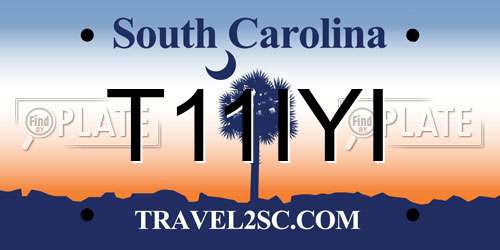 T11IYI South Carolina License Plate