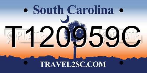 T120959C South Carolina License Plate