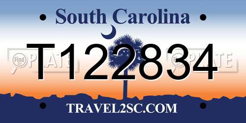 T122834 South Carolina License Plate