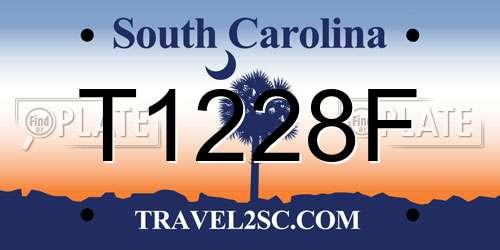 T1228F South Carolina License Plate
