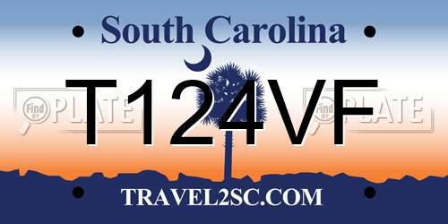 T124VF South Carolina License Plate