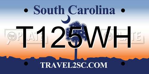 T125WH South Carolina License Plate