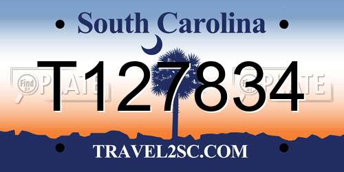 T127834 South Carolina License Plate