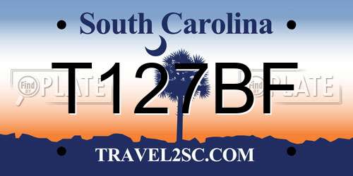 T127BF South Carolina License Plate