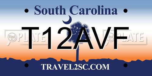 T12AVF South Carolina License Plate