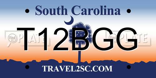 T12BGG South Carolina License Plate
