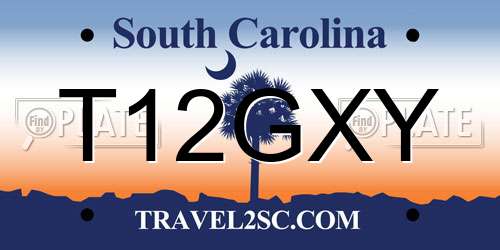 T12GXY South Carolina License Plate