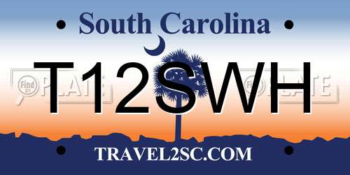 T12SWH South Carolina License Plate