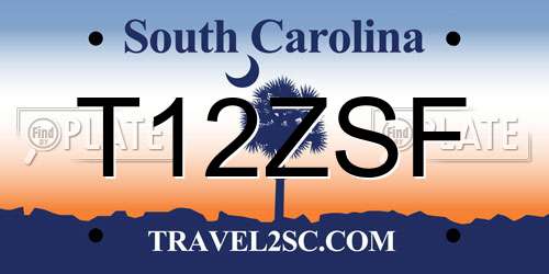T12ZSF South Carolina License Plate