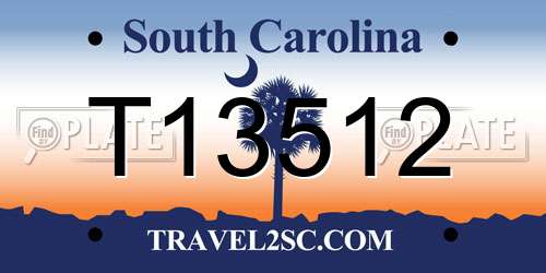 T13512 South Carolina License Plate
