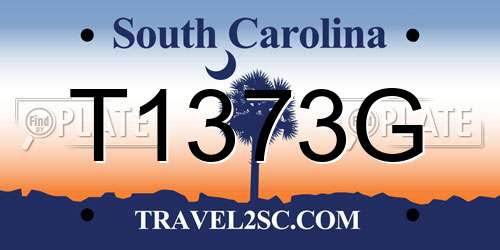 T1373G South Carolina License Plate